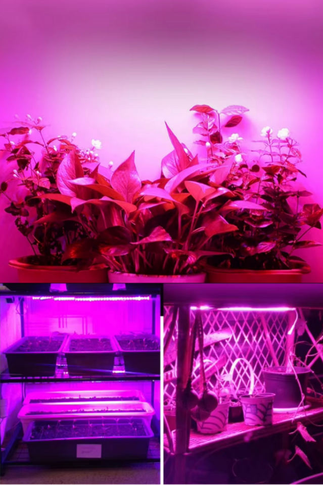 Grow Led 72 Ledli 12V 5630 Full Spectrum Bitki Yetiştirme Ledi