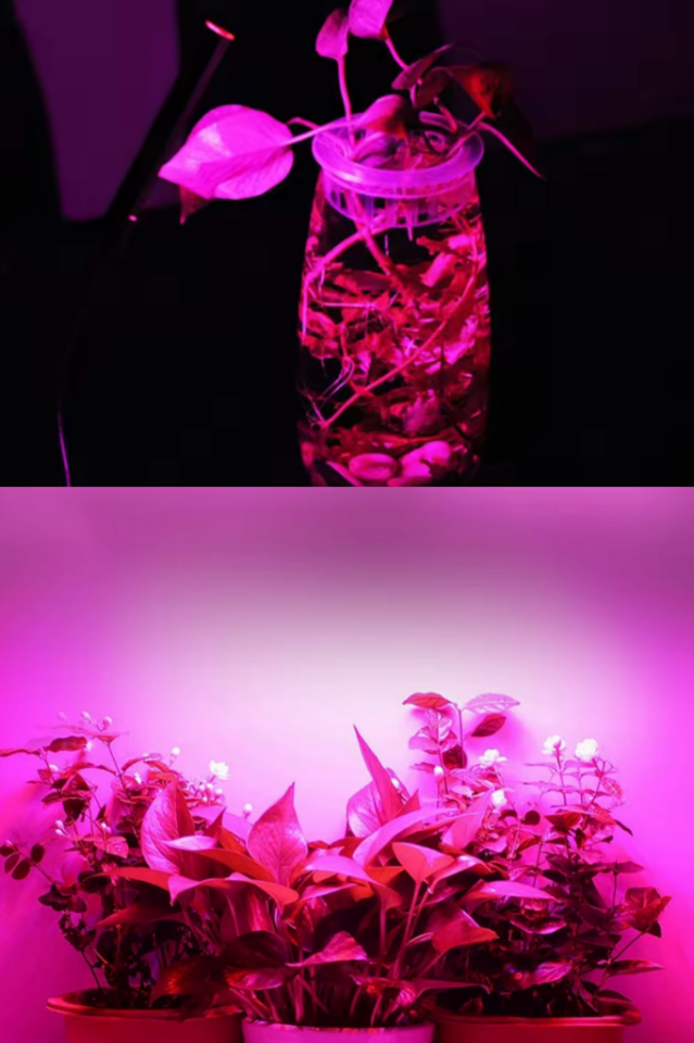 Alüminyum Kasalı Çubuk Bar Led 12V 72 Ledli 5730 Şeffaf Cam Grow Led Full Spectrum Bitki Yetiştirme Ledi